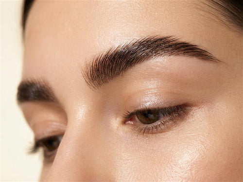 Brow Mastery Course